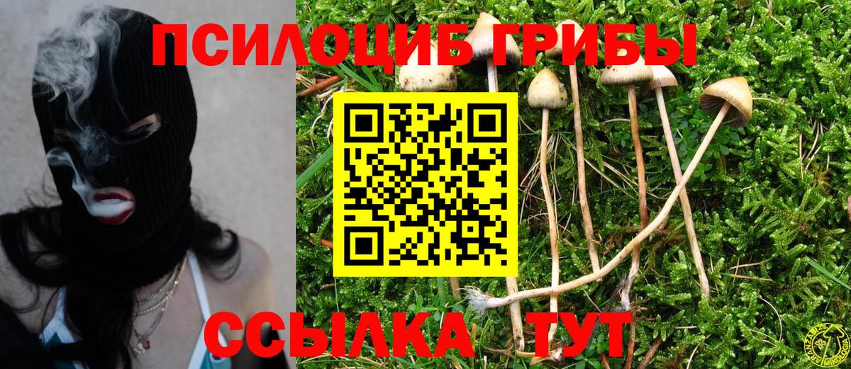 Галлюциногенные грибы мухоморы Челябинск